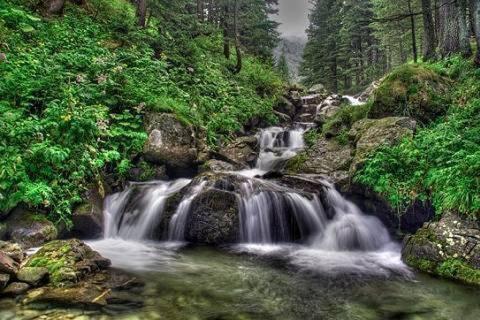 Villa Stresov Borovets Esterno foto